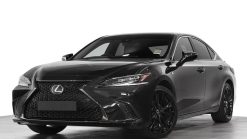 Lexus ES250 F Sport - Ảnh 5
