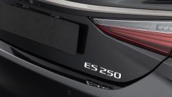 Lexus ES250 F Sport - Ảnh 19