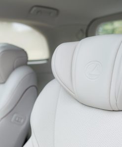 Lexus LM 500h 6 chỗ - Ảnh 9