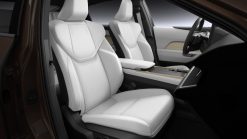 Lexus ES 500e - Ảnh 10